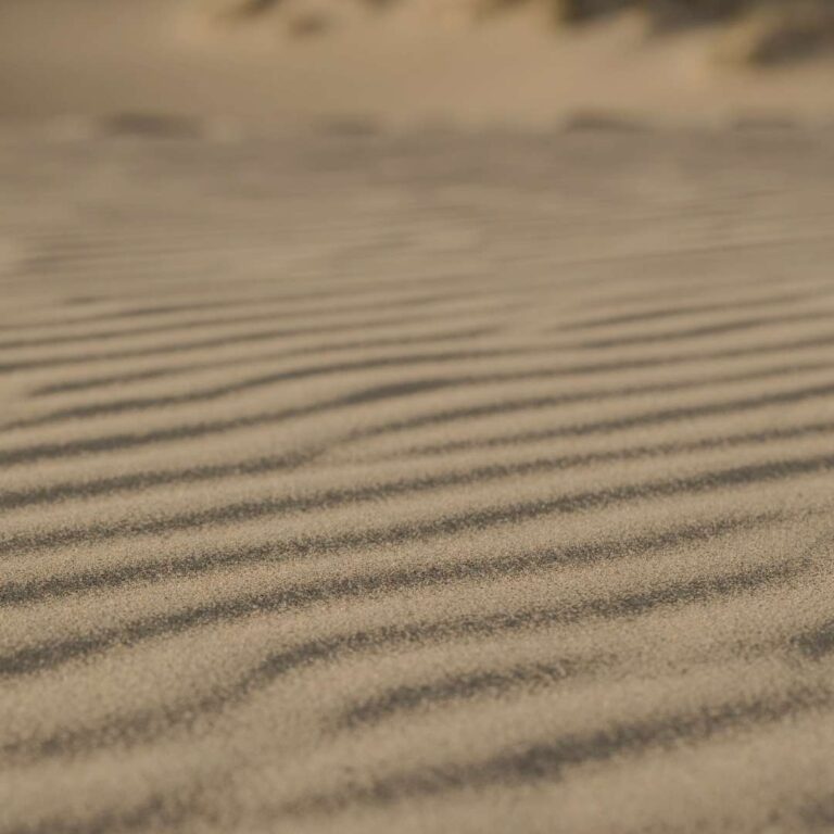 Estetyczne, minimalistyczne zdjęcie przedstawiające piasek ułożony w regularne fale. Wizualna metafora naturalnego 'Flow' i kobiecej produktywności, która przeciwstawia się sztywnym systemom typu "5:00 rano".